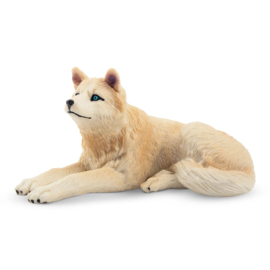 Wolf   arctic-  Toymany