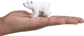 Polar bear cub  Mojo 387020
