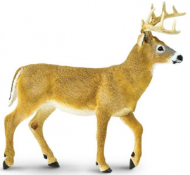 Deer    XXL    S113589