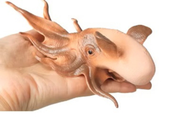 Dombo octopus XL