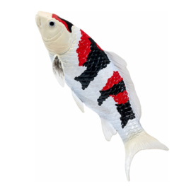 Koi karper Showa Sanshoku Mojö 381103