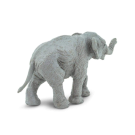 Elephant Asian Baby   S222329