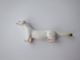 Ermine winter plumage