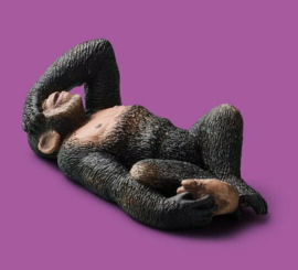 Chimpanzee  Takara Tomy ZZZ