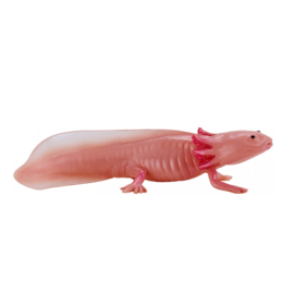 Axolotl   Mojö 381108 -    june 2025