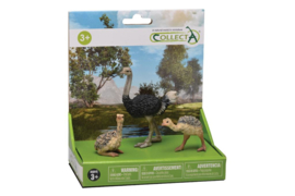 Ostrich family CollectA gift set 89266