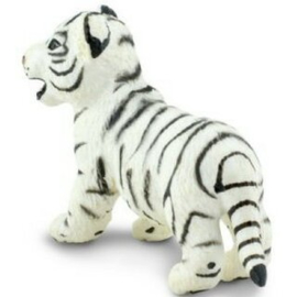 Bengal Tiger White Cub  S295029