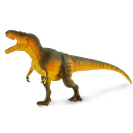 Daspletosaurus Safari 100572