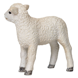 Romney sheep lamb  Mojo 387060