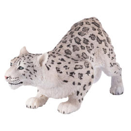 Snowleopard  Mojo 387243