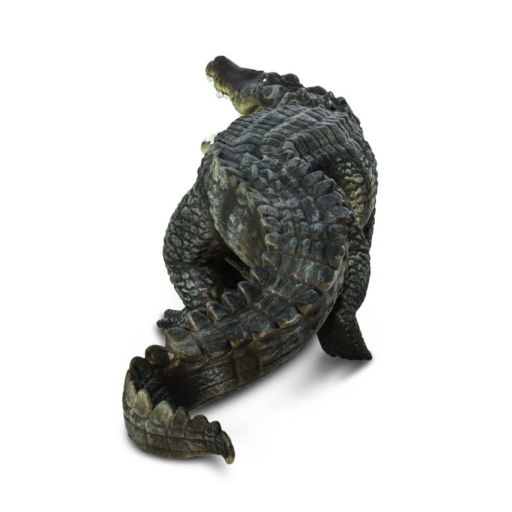 Zoutwaterkrokodil  XXL S262629