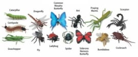Insekten S695304