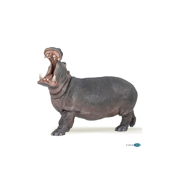 Hippopotamus Papo