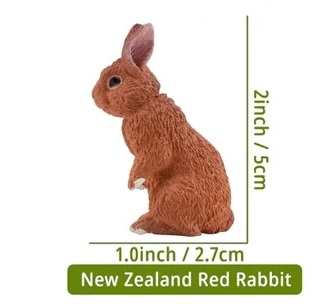 New Zealand red rabbit