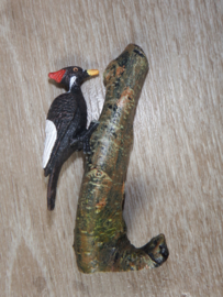 Noord-Amerikaanse helmspecht – Pileated Woodpecker