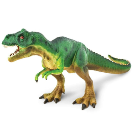 Tyrannosaurus rex Safari 298529