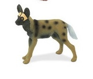 Afrikaanse wilde hond   mini
