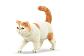 Exotic shorthair  CollectA 88937