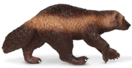 Veelvraat   wolverine   S180429 