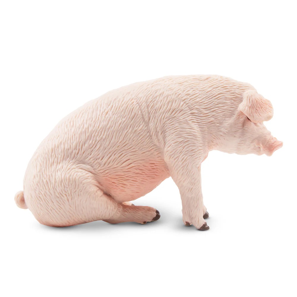 Male Adult Pig   Toymany
