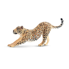 Jaguar Stretching Male  Toymany