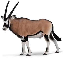 Oryx antilope CollectA 80056