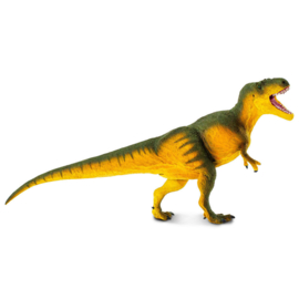 Daspletosaurus Safari 100572