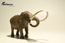 Mastodont EOfauna