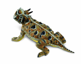 Horned lizard  S156605
