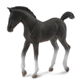 Tennessee Walking Horse foal XL 1:20 CollectA 88452