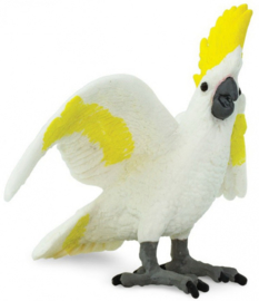 Cockatoo   S263829