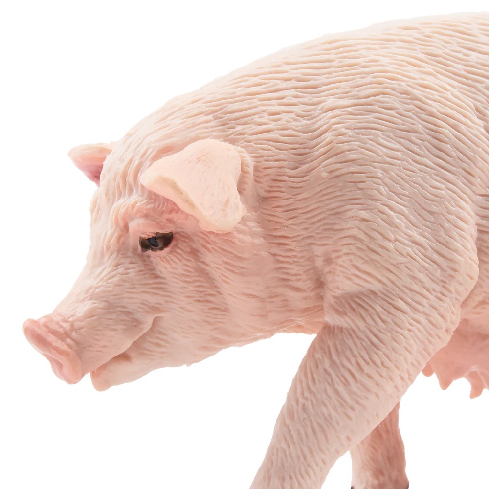 Female Adult Pig  Toymany