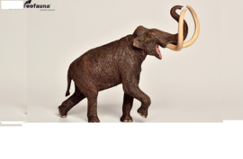 Mammoth       Mammuthus  trogontherii Eofauna