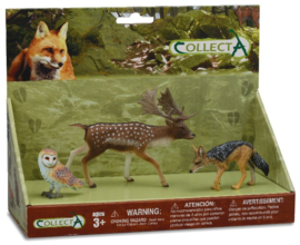 Geschenkdoos Bosdieren CollectA 89800