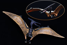 Pteranodon merkloos