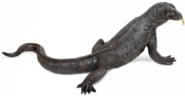 Komodo dragon S268829