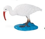 White ibis    mini