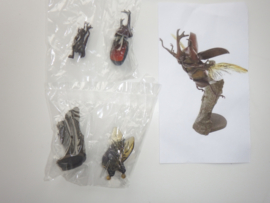 Rhinoceros beetle Bandai    flying