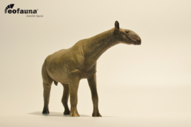 Paraceratherium grangeri  Eofauna
