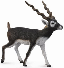 Indische antilope   Blackbuck   CollectA 88638