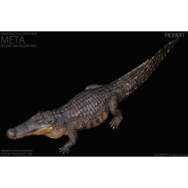 Deinosuchus hatcheri  Meta Estuary REBOR 161007