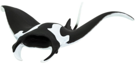 Manta Ray   S100096