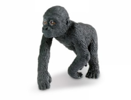 Gorilla Baby  S294829