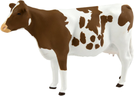 Ayrshire Cow Safari 162129