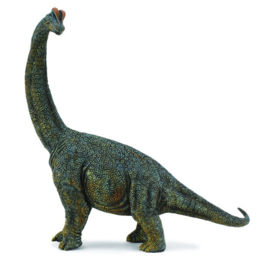 Brachiosaurus   CollectA 88405