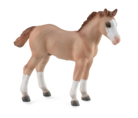 Quarter foal  CollectA 88814