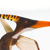 Pteranodon   Safari Ltd