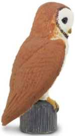 Barn Owl   S150029