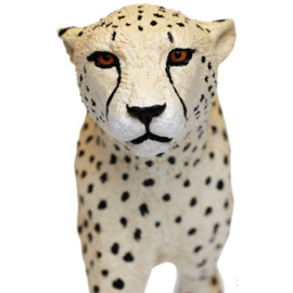 Cheetah   XXL   S112889
