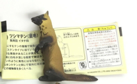 146  Tsushima Marten (summer hair)